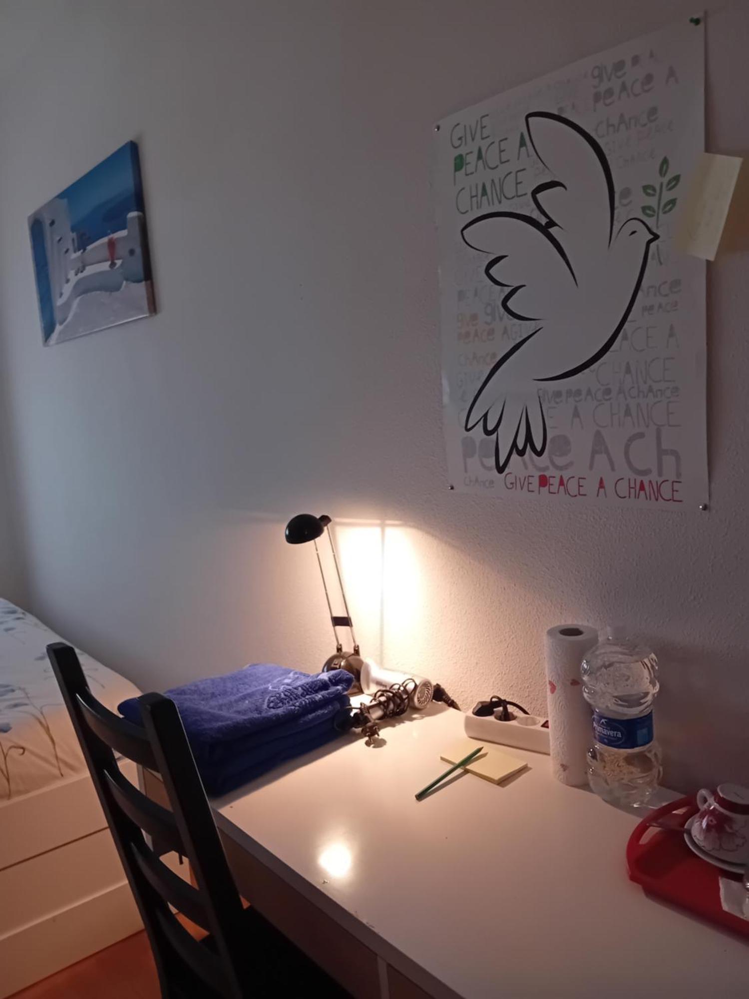 Homestay Individuales Madrid: Tranquil Airport Retreat