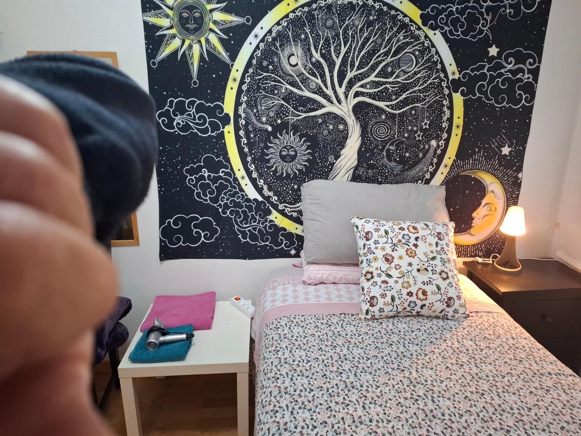 Individuales Madrid: Tranquil Airport Retreat San Sebastian de los Reyes
